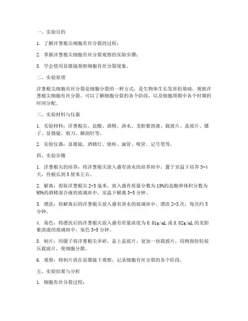 生物洋葱根尖实验报告