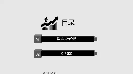 海绵城市案例分析PPT课件