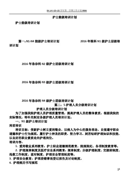 护士能级培训计划
