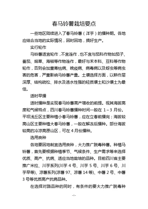 春马铃薯栽培要点