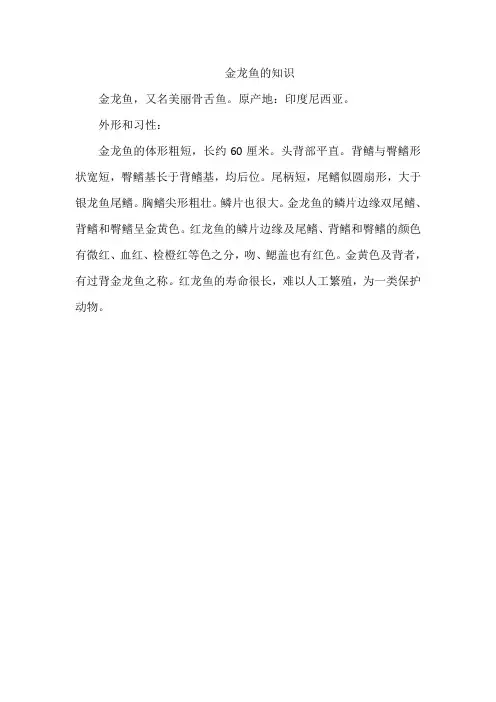 金龙鱼的知识