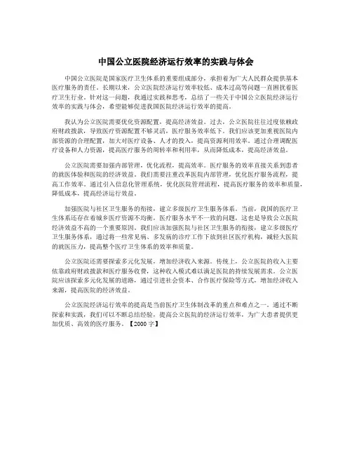 中国公立医院经济运行效率的实践与体会