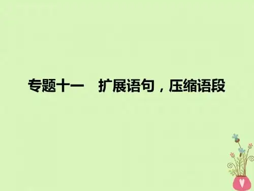 2019年高考语文一轮复习专题十一扩展语句,压缩语段课件