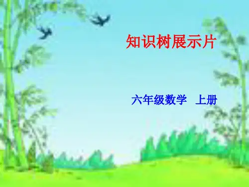 北师大版六年级上册数学知识树