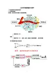 人体内环境的稳态与调节(知识点笔记)