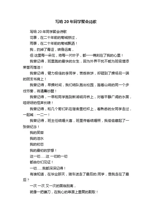 写给20年同学聚会诗歌
