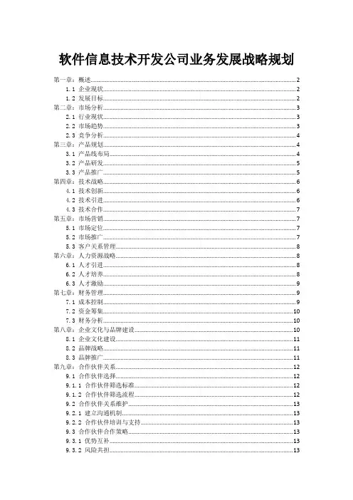 软件信息技术开发公司业务发展战略规划