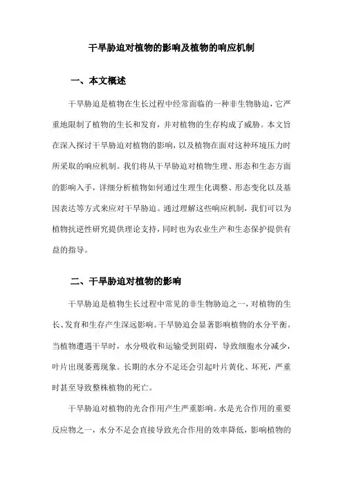 干旱胁迫对植物的影响及植物的响应机制