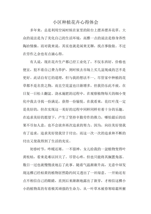 小区种植花卉心得体会