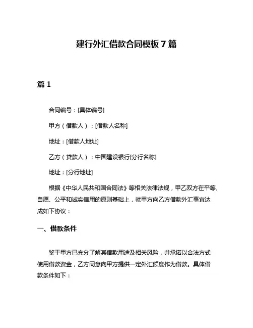建行外汇借款合同模板7篇