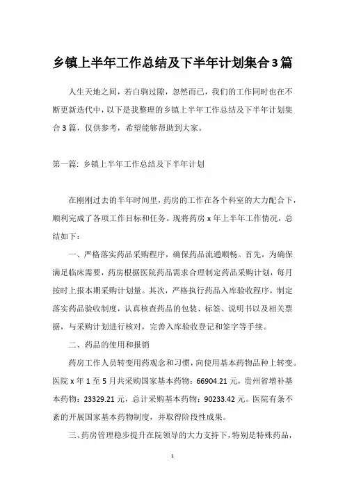 乡镇上半年工作总结及下半年计划集合3篇