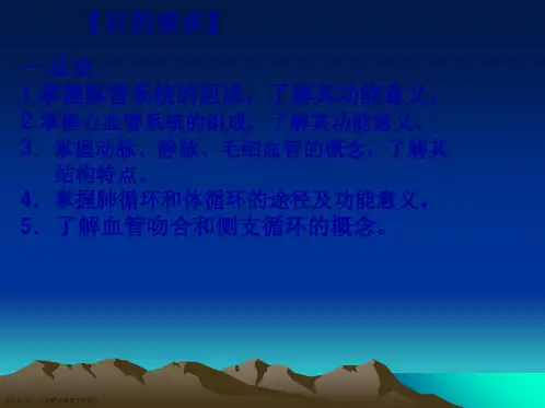 人体解剖学之脉管系统课件