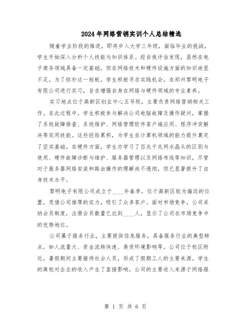 2024年网络营销实训个人总结精选（四篇）