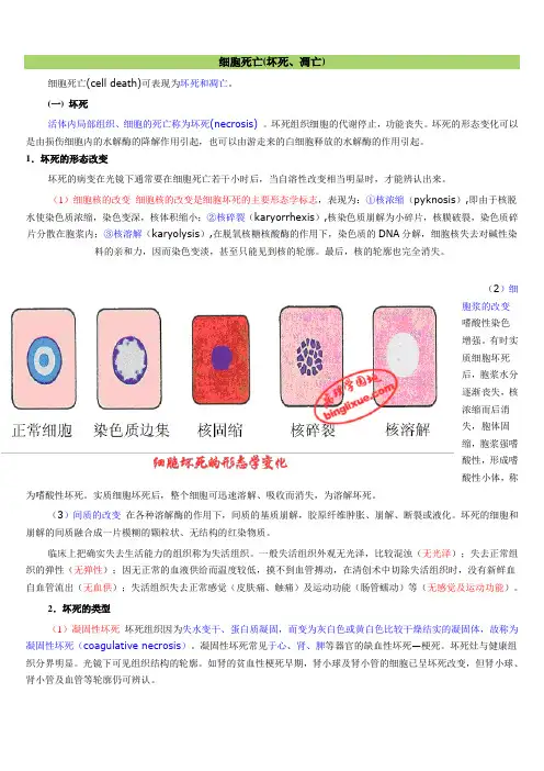 细胞死亡