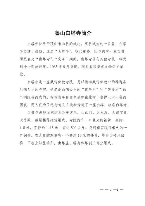 鲁山白塔寺简介
