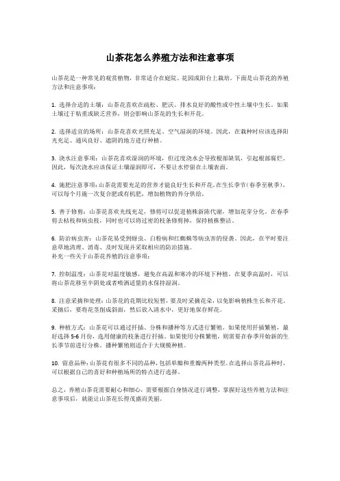 山茶花怎么养殖方法和注意事项