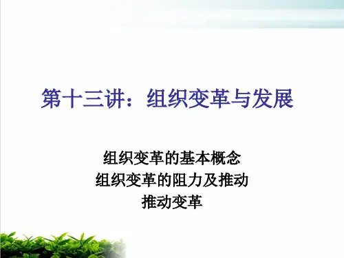 组织变革与组织发展课件演示(28张)