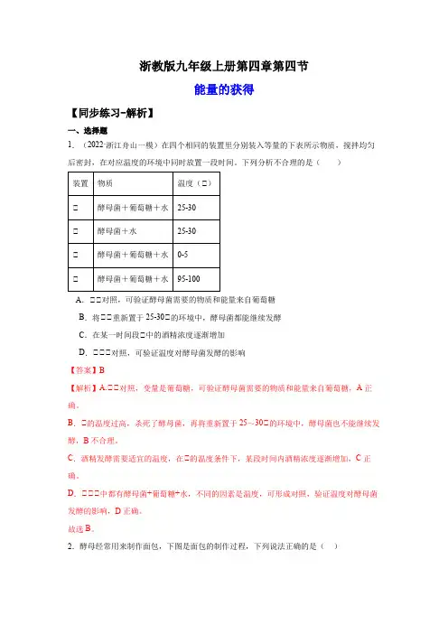 4.4能量的获得(练习)-2024-2025学年九年级科学上册讲练课堂(浙教版)