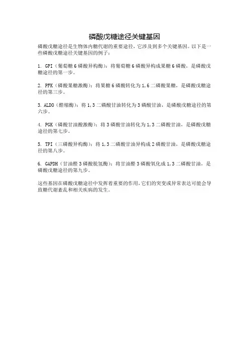 磷酸戊糖途径关键基因