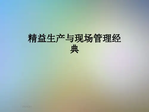 精益生产与现场管理经典