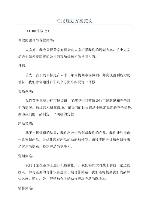 汇报规划方案范文