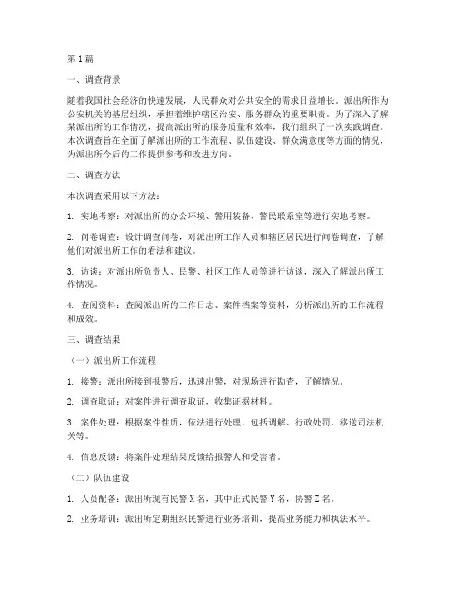 某派出所的实践调查报告(2篇)