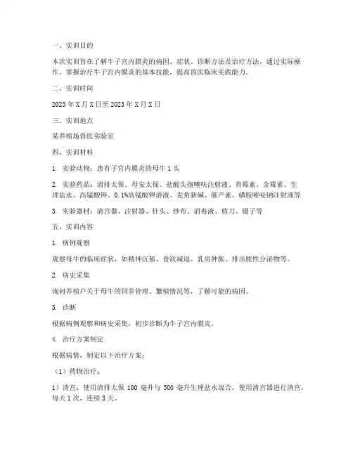 牛子宫内膜炎治疗实训报告