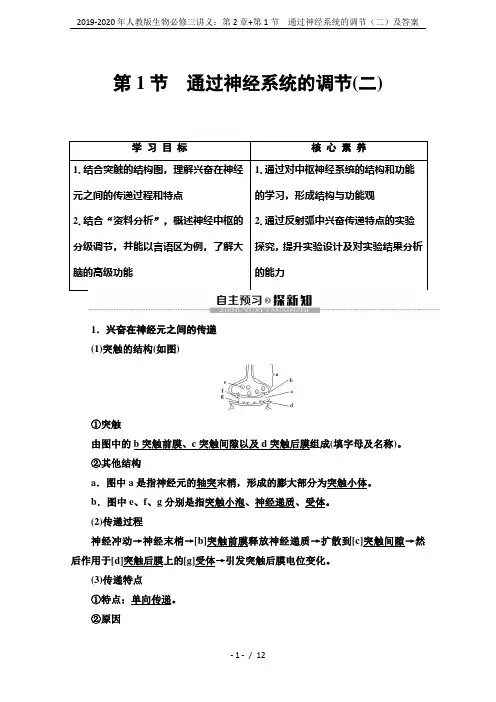 2019-2020年人教版生物必修三讲义：第2章+第1节 通过神经系统的调节(二)及答案