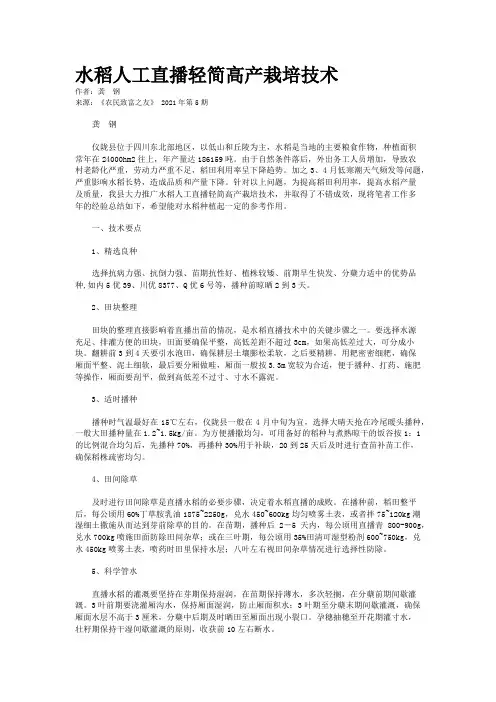 水稻人工直播轻简高产栽培技术