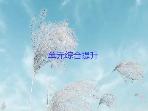 细胞的基本结构和物质运输功能PPT精品课件