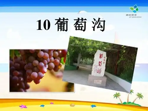 《葡萄沟》PPT课件10