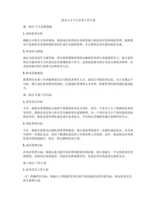 拔尖人才个人年度工作计划