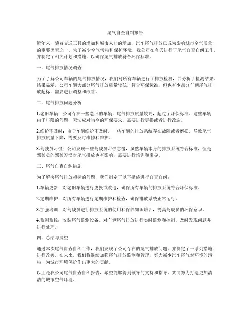 尾气自查自纠报告
