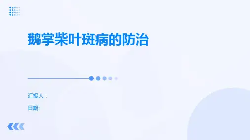 鹅掌柴叶斑病的防治