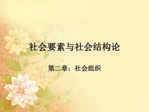 社会要素与社会结构论之社会组织