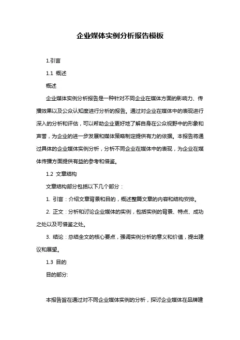 企业媒体实例分析报告模板