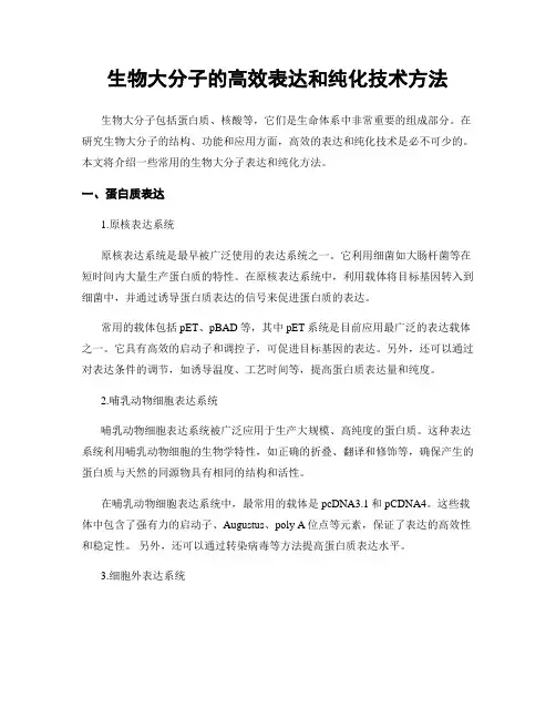 生物大分子的高效表达和纯化技术方法