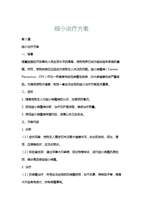 细小治疗方案