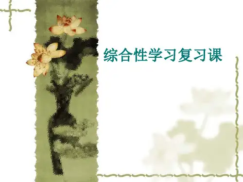 《中考复习综合性学习复习课》ppt课件剖析