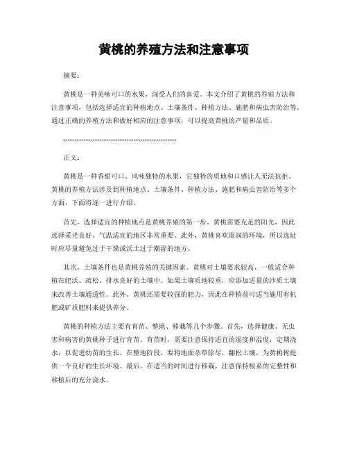 黄桃的养殖方法和注意事项