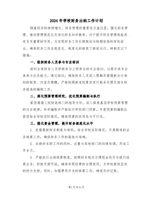 2024年学校财务出纳工作计划（五篇）