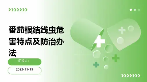 番茄根结线虫危害特点及防治办法