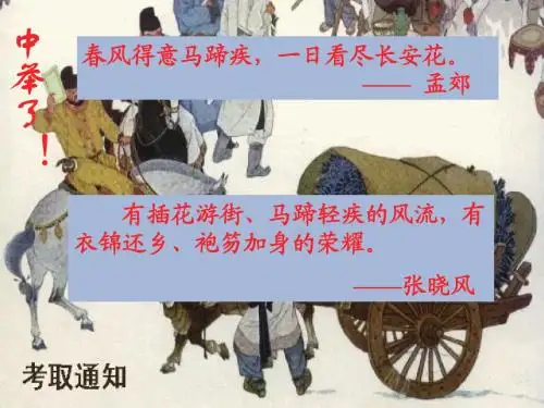 19.范进中举