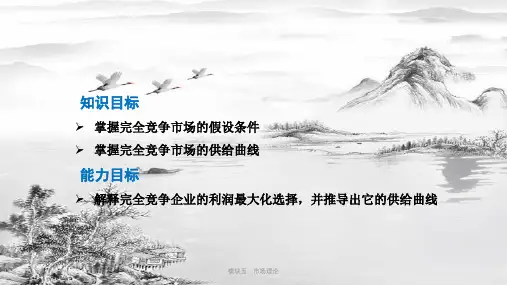 模块五市场理论ppt课件