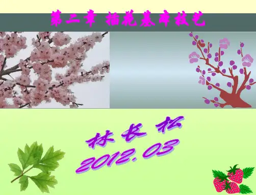 第二章  插花基本技艺PPT课件
