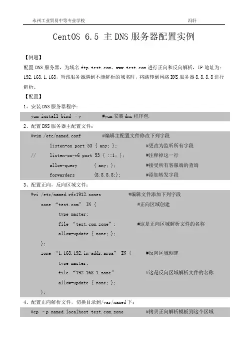 CentOS 6.5 主DNS服务器配置实例