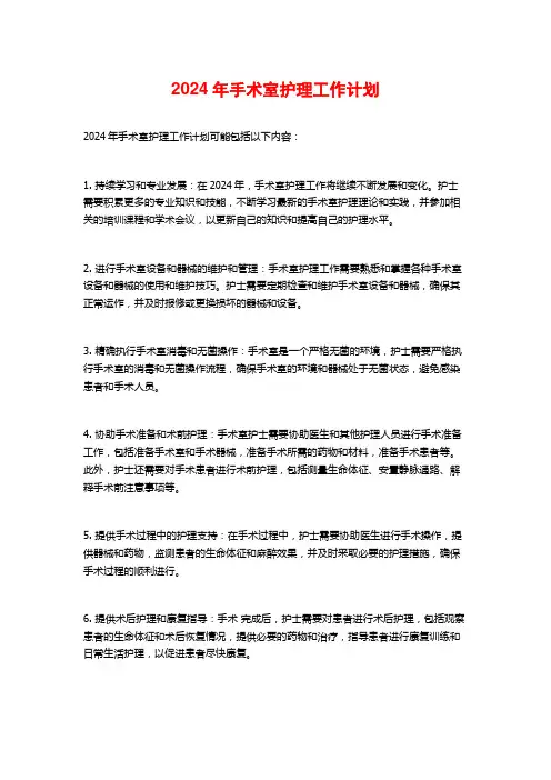 2024年手术室护理工作计划