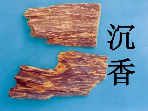 沉香的鉴定
