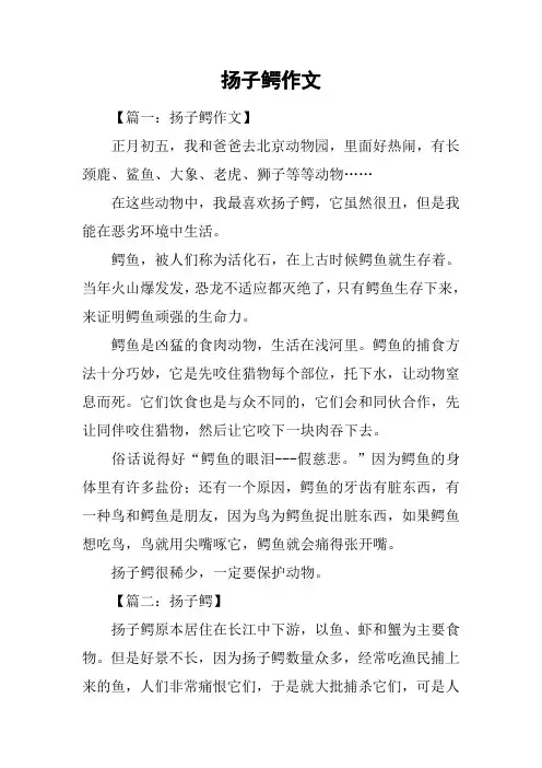 扬子鳄作文