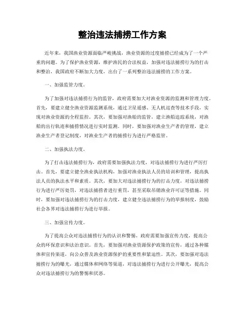 整治违法捕捞工作方案